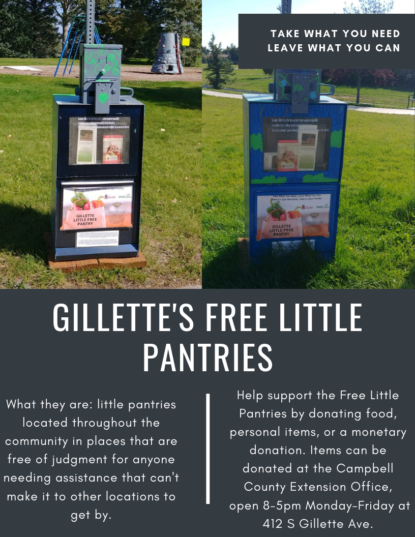 Gillette Little Free Pantries Photo 1