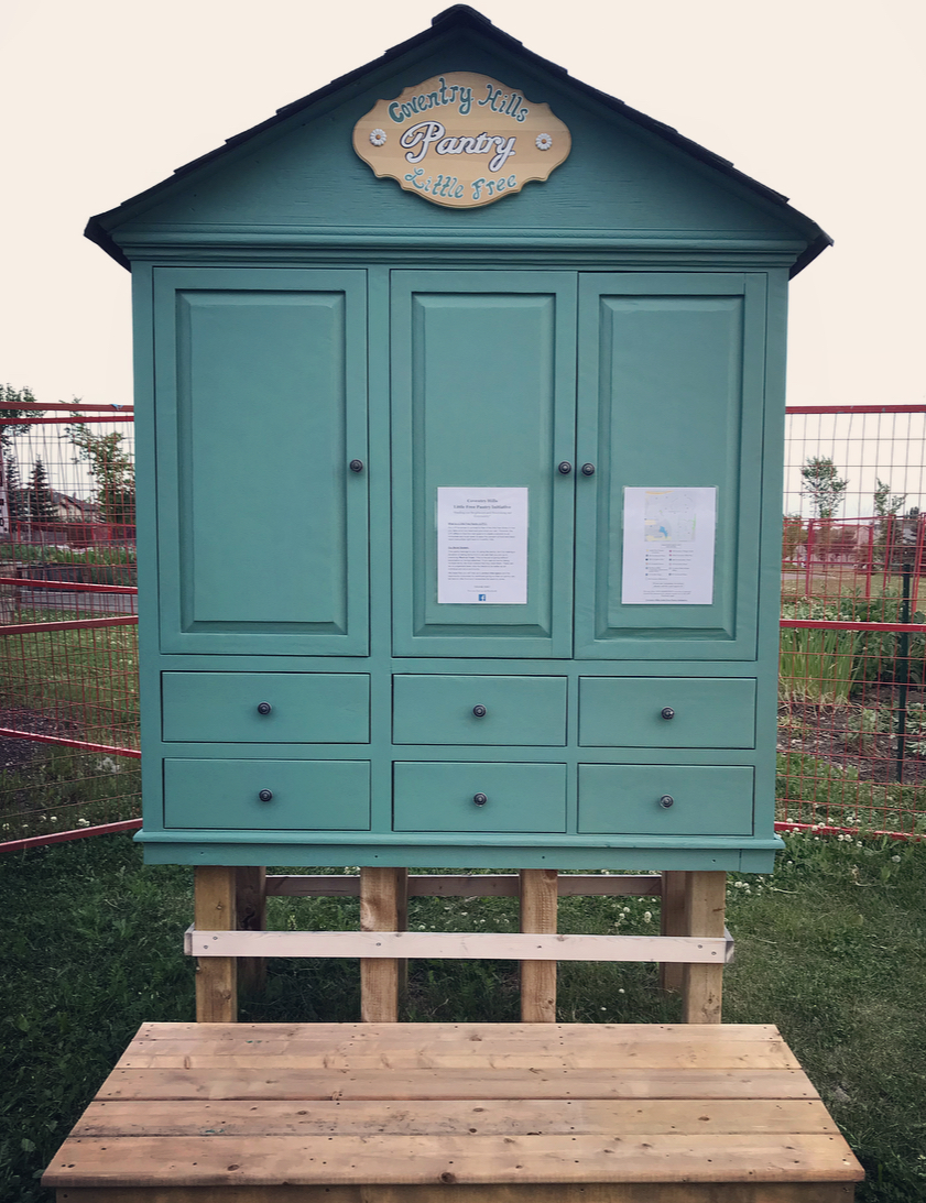 Coventry Hills Little Free Pantry Initiative Photo 1