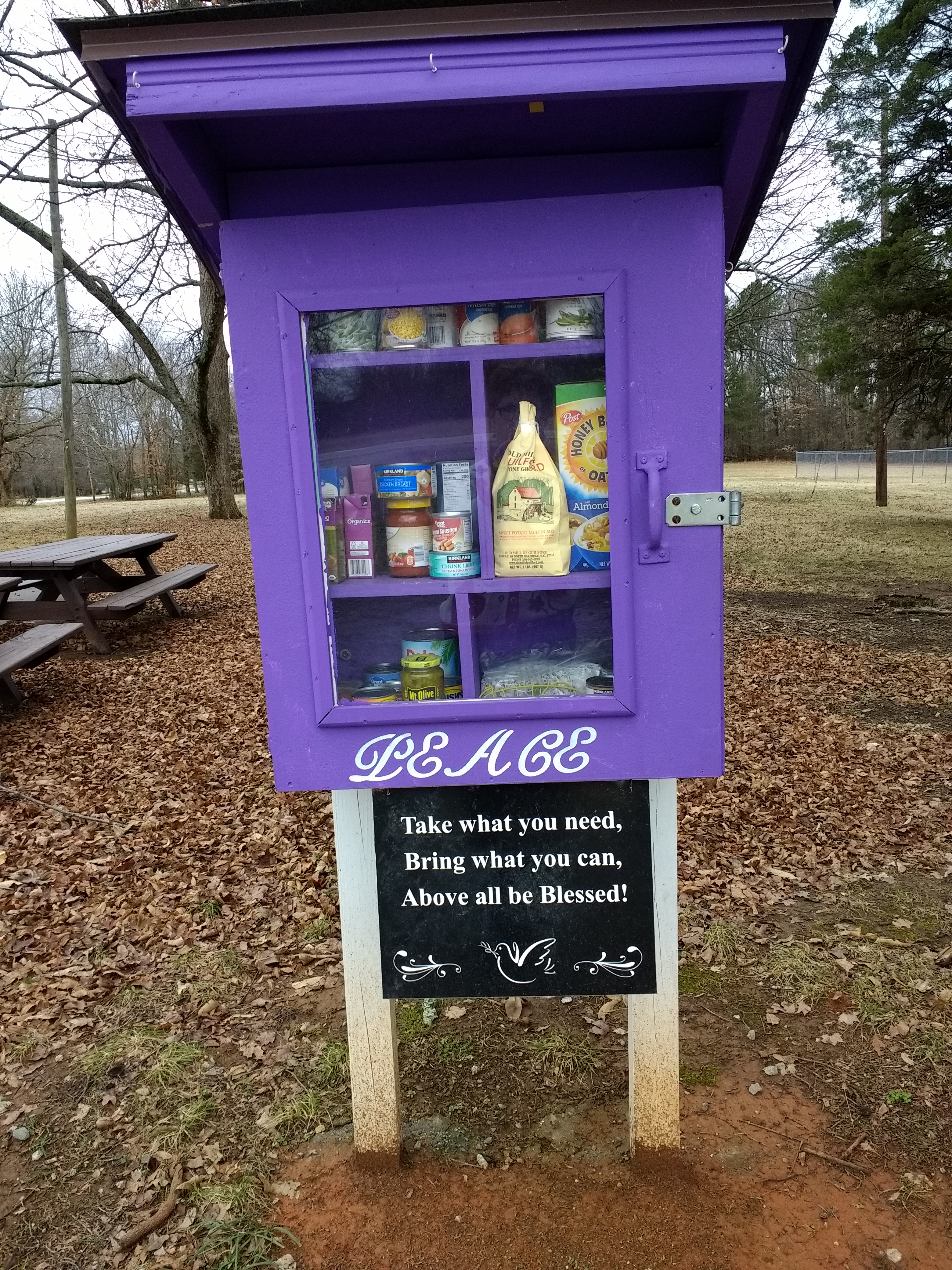 Little Free Peace Pantry Photo 1