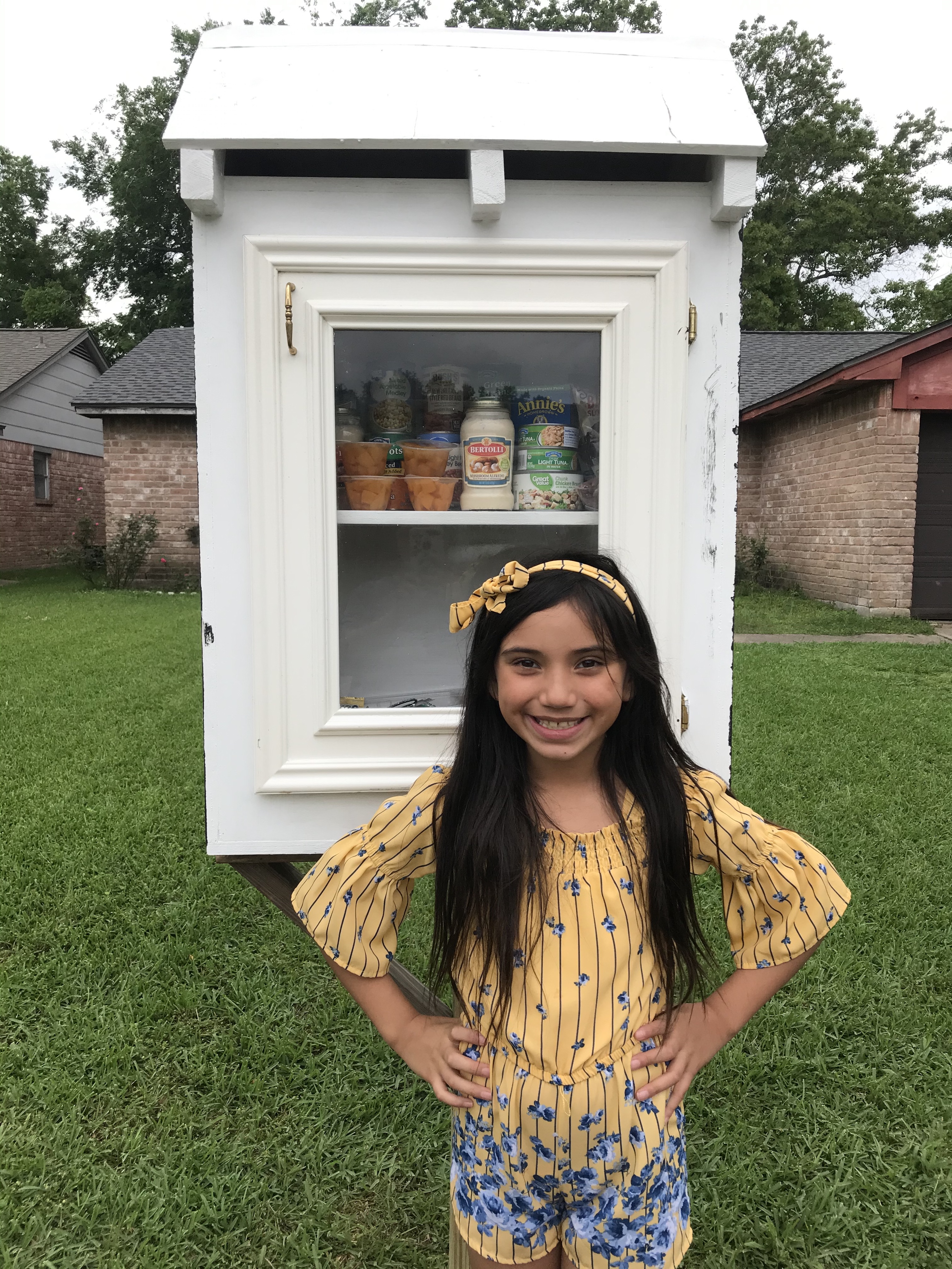 Friendswood Little Free Pantry Photo 1
