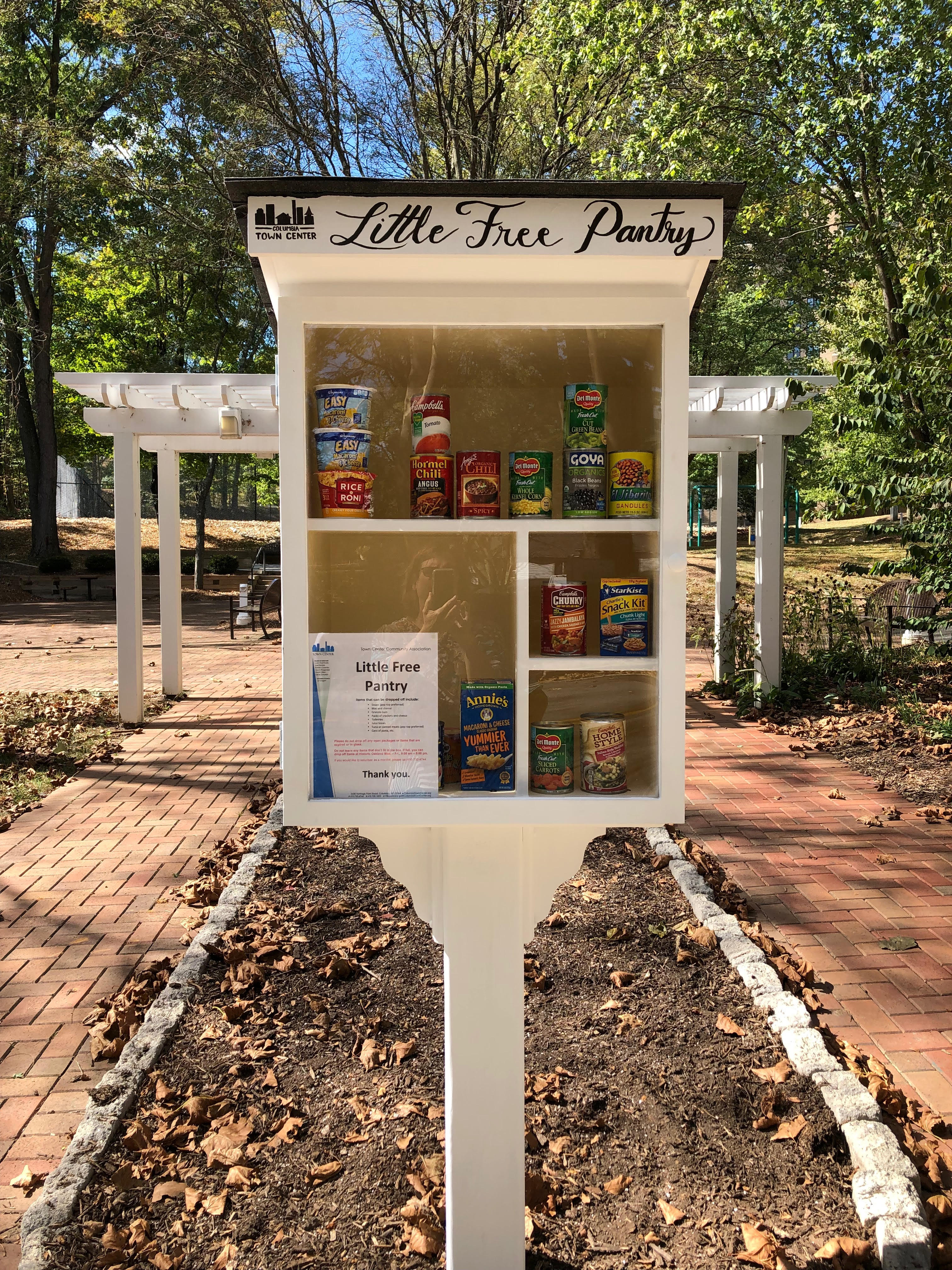 Town Center Little Free Pantry Photo 1